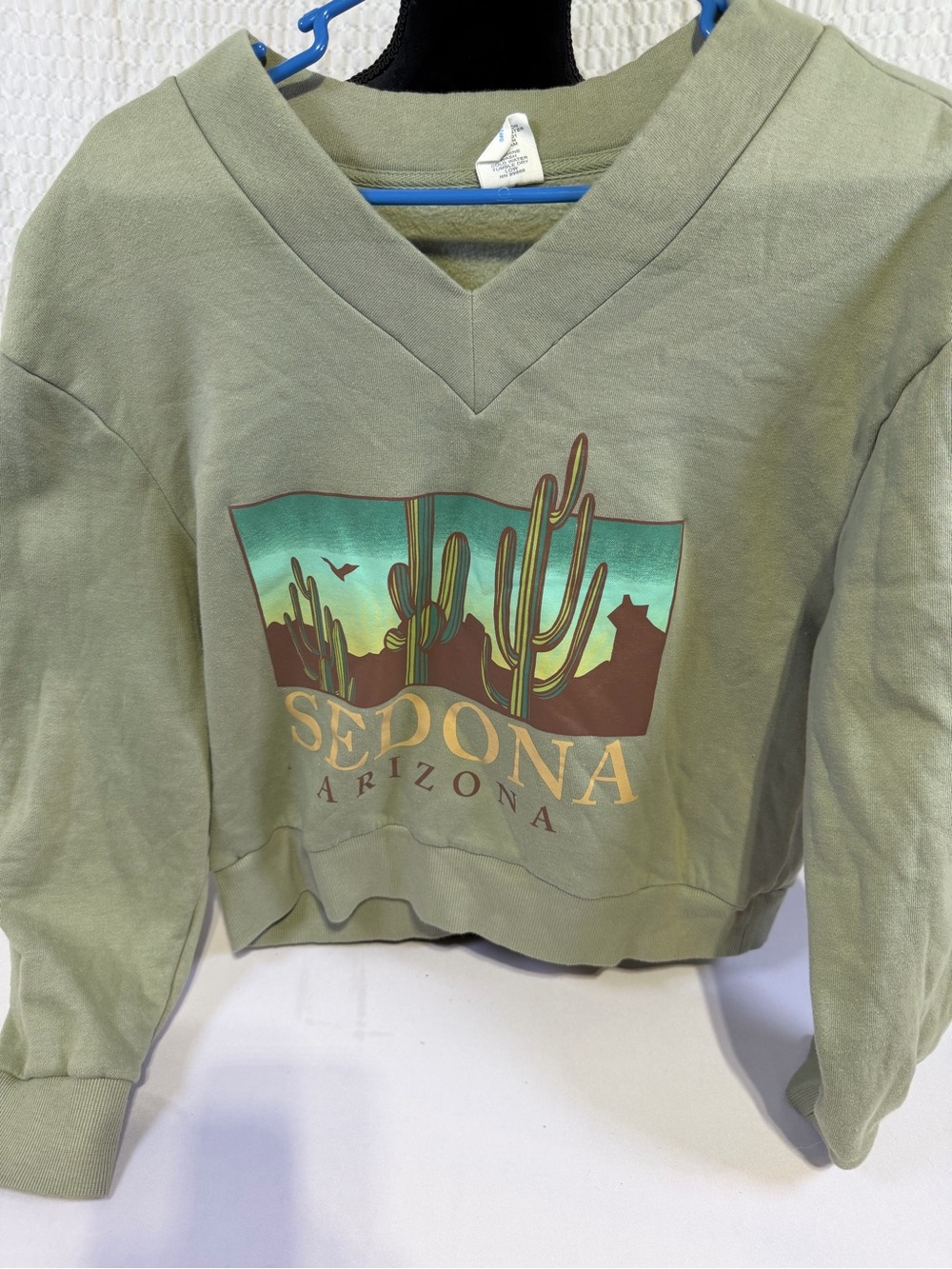 Rosio Olive Green Sedona Arizona Cactus Graphic V-Neck Sweatshirt